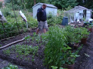 Allotment and Barbecue 009